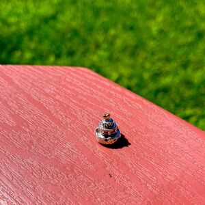 PANDORA birthday cake charm